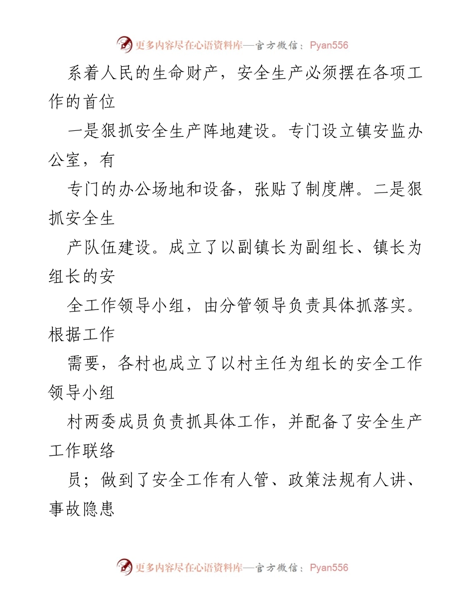 [工作总结] 安全生产工作 - XX镇2023年安全生产责任制落实情况报告.docx_第2页