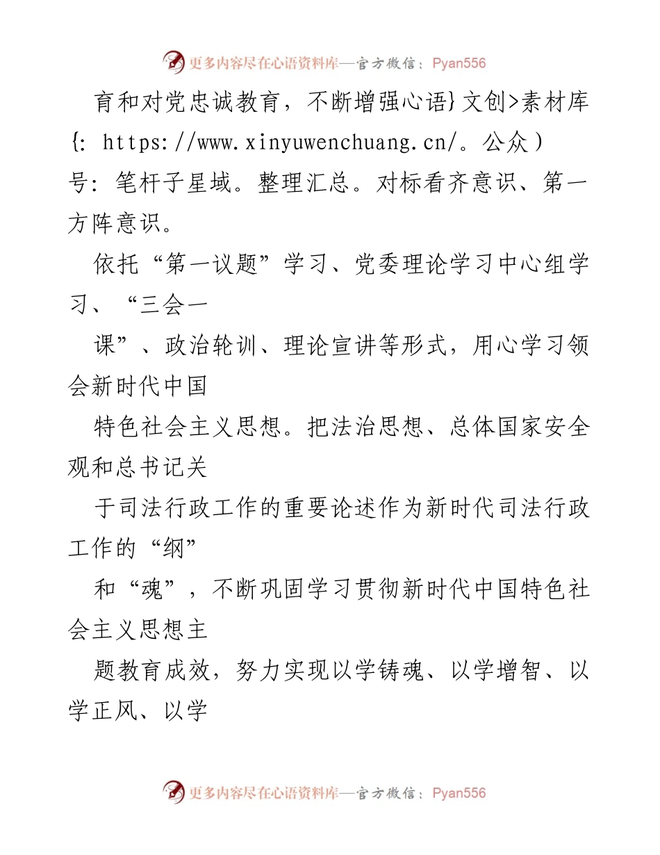 [工作总结] 市司法局 - 2024年工作总结与党建引领发展成效分析.docx_第2页