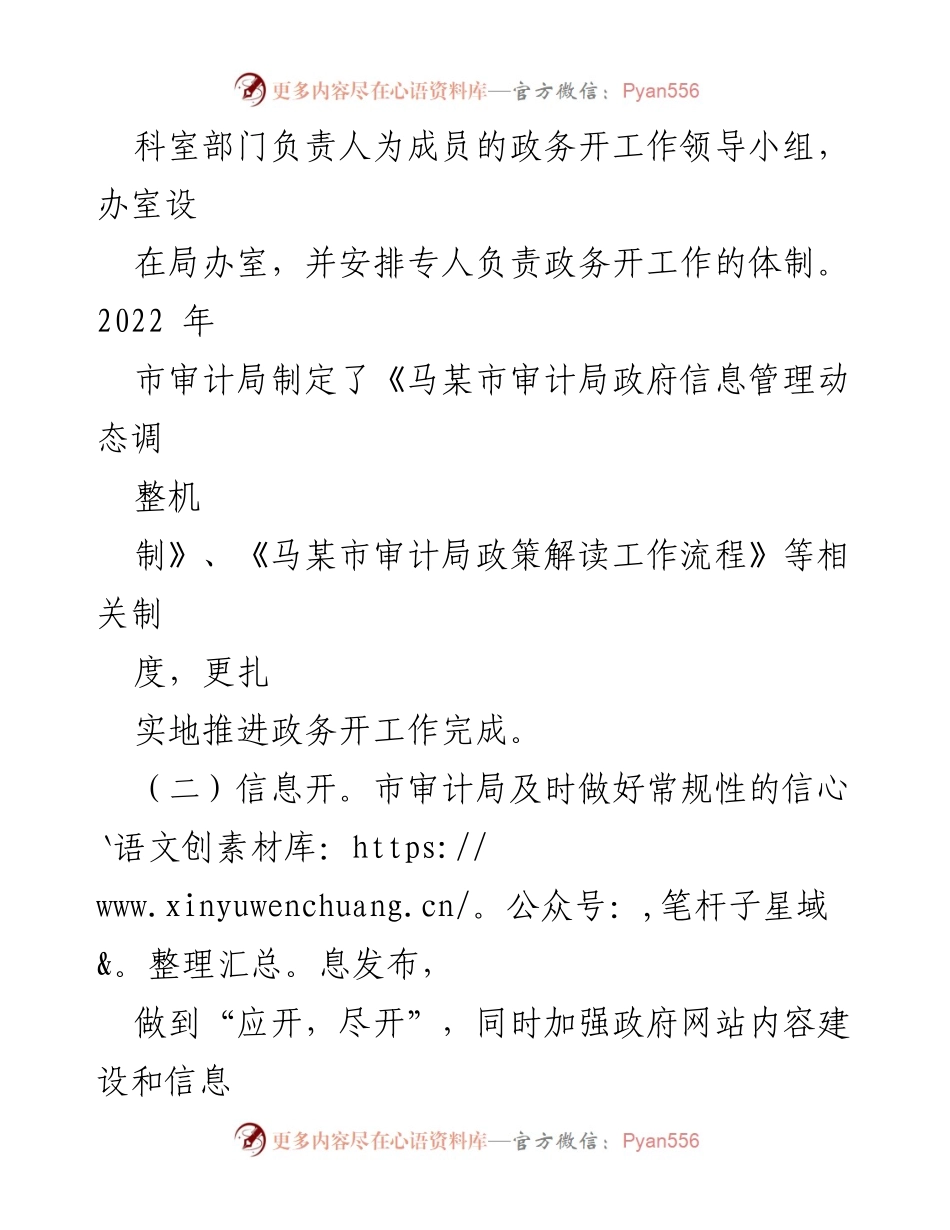 [工作总结] 审计局 - 2022年马某市审计局政务公开工作总结.docx_第2页