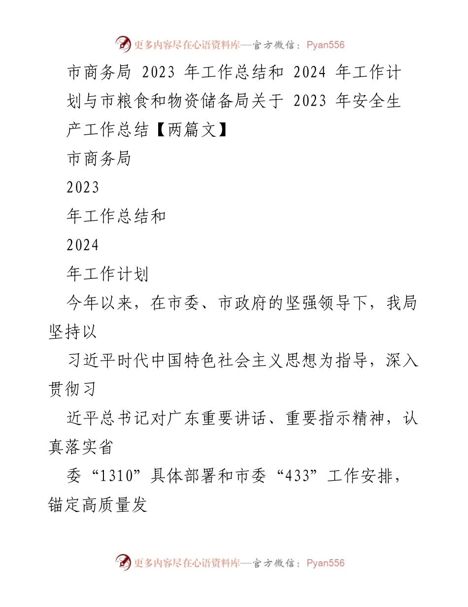 [工作总结] 市商务局2023年工作总结与2024年工作计划 - 2023年商务工作回顾与2024年发展展望.docx_第1页