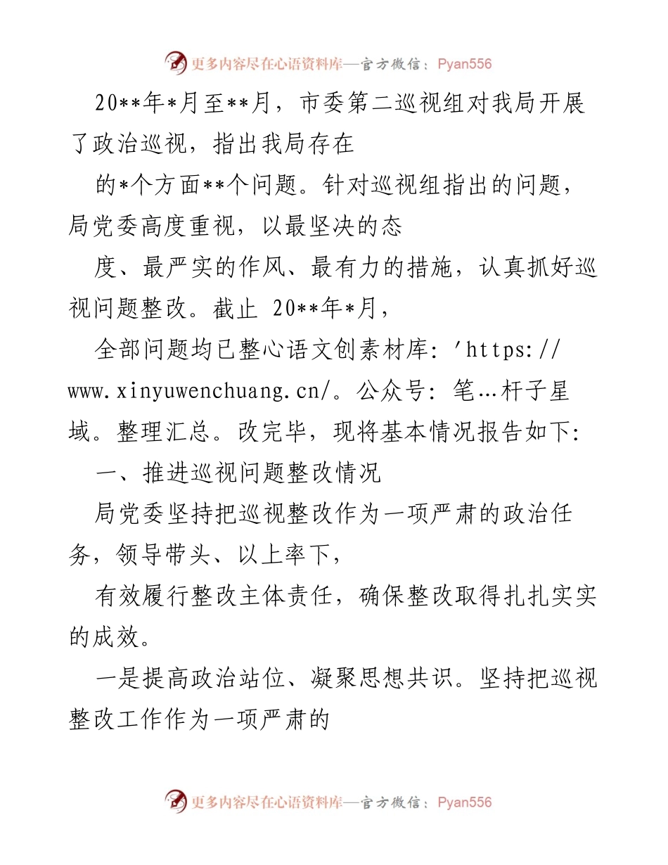 [工作总结] 巡视整改 - 巡视整改工作总结报告.docx_第1页