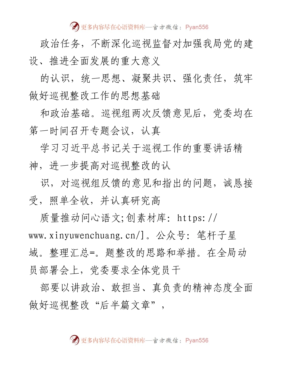 [工作总结] 巡视整改 - 巡视整改工作总结报告.docx_第2页