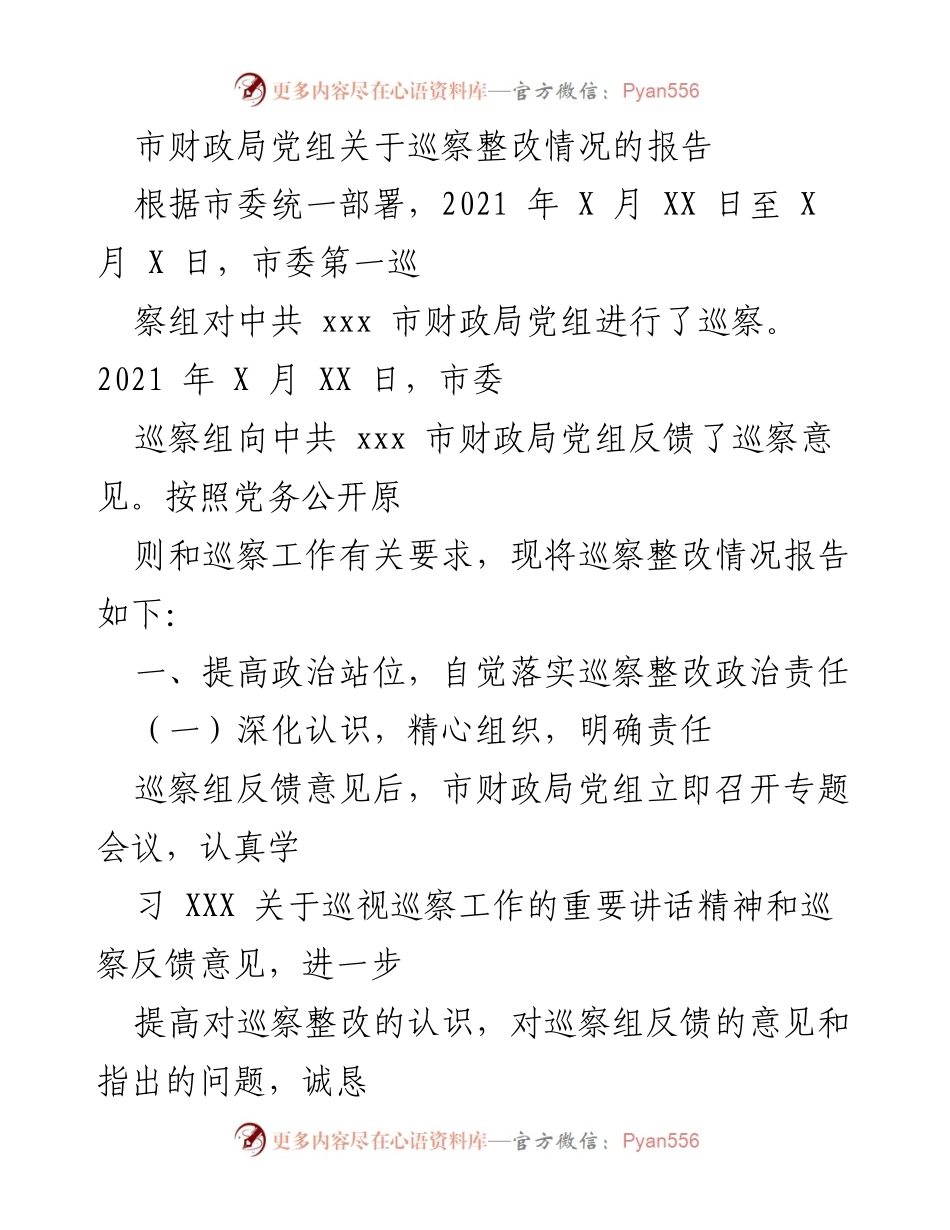 [工作总结] 巡察整改 - 市财政局党组巡察整改情况报告.docx_第1页