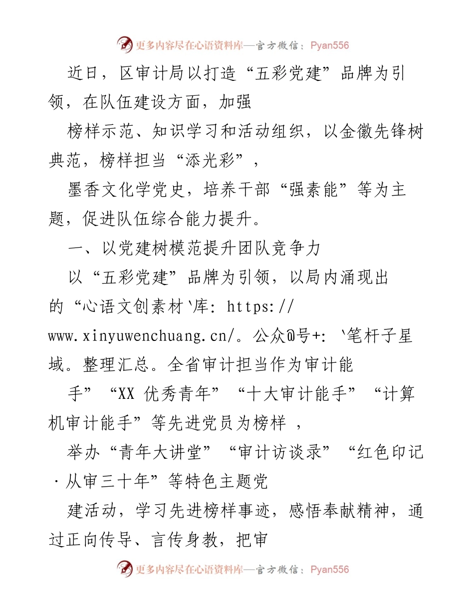 [工作总结] 审计局 - 打造“五彩党建”品牌，提升队伍综合能力.docx_第1页