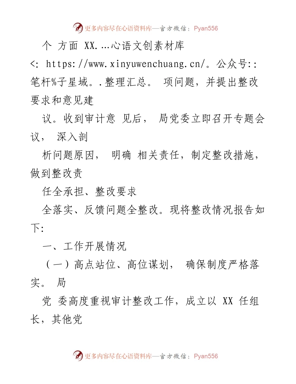 [工作总结] 审计整改 - XX局经济责任审计整改情况报告.docx_第2页