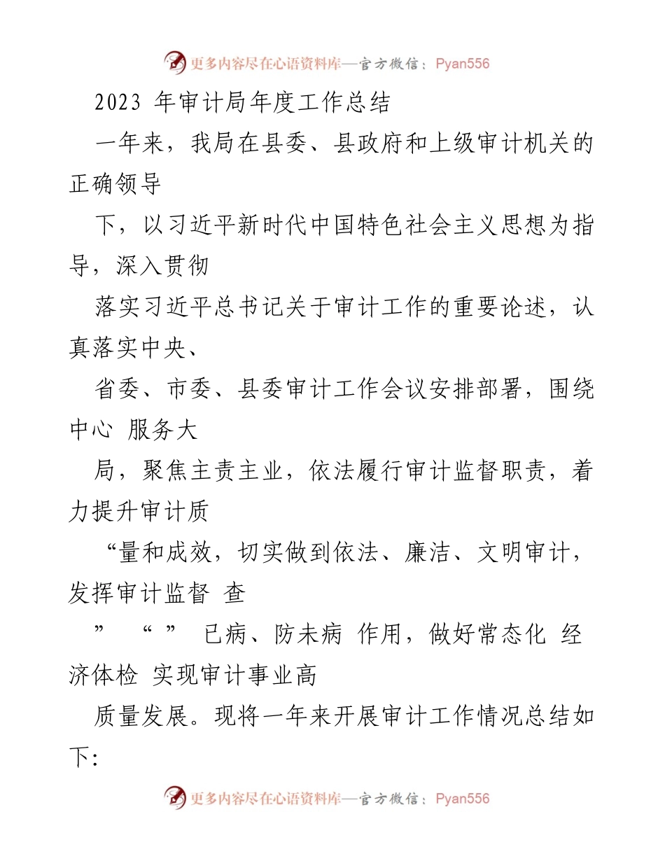 [工作总结] 年度审计工作 - 2023年审计局年度工作总结及成效分析.docx_第1页