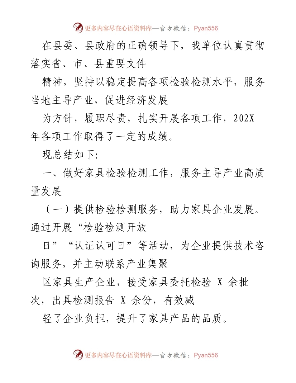 [工作总结] 年度工作汇报 - 202X年检验检测工作总结与成效分析.docx_第1页