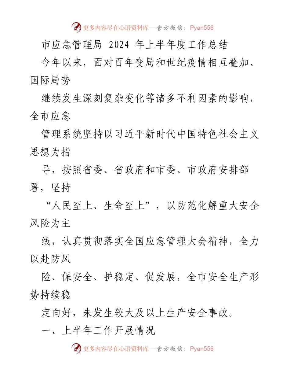 [工作总结] 市应急管理局 - 2024年上半年安全生产工作总结与成效分析.docx_第1页