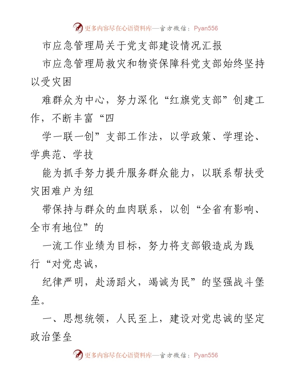 [工作总结] 市应急管理局 - 党支部建设情况汇报及救灾工作成效.docx_第1页