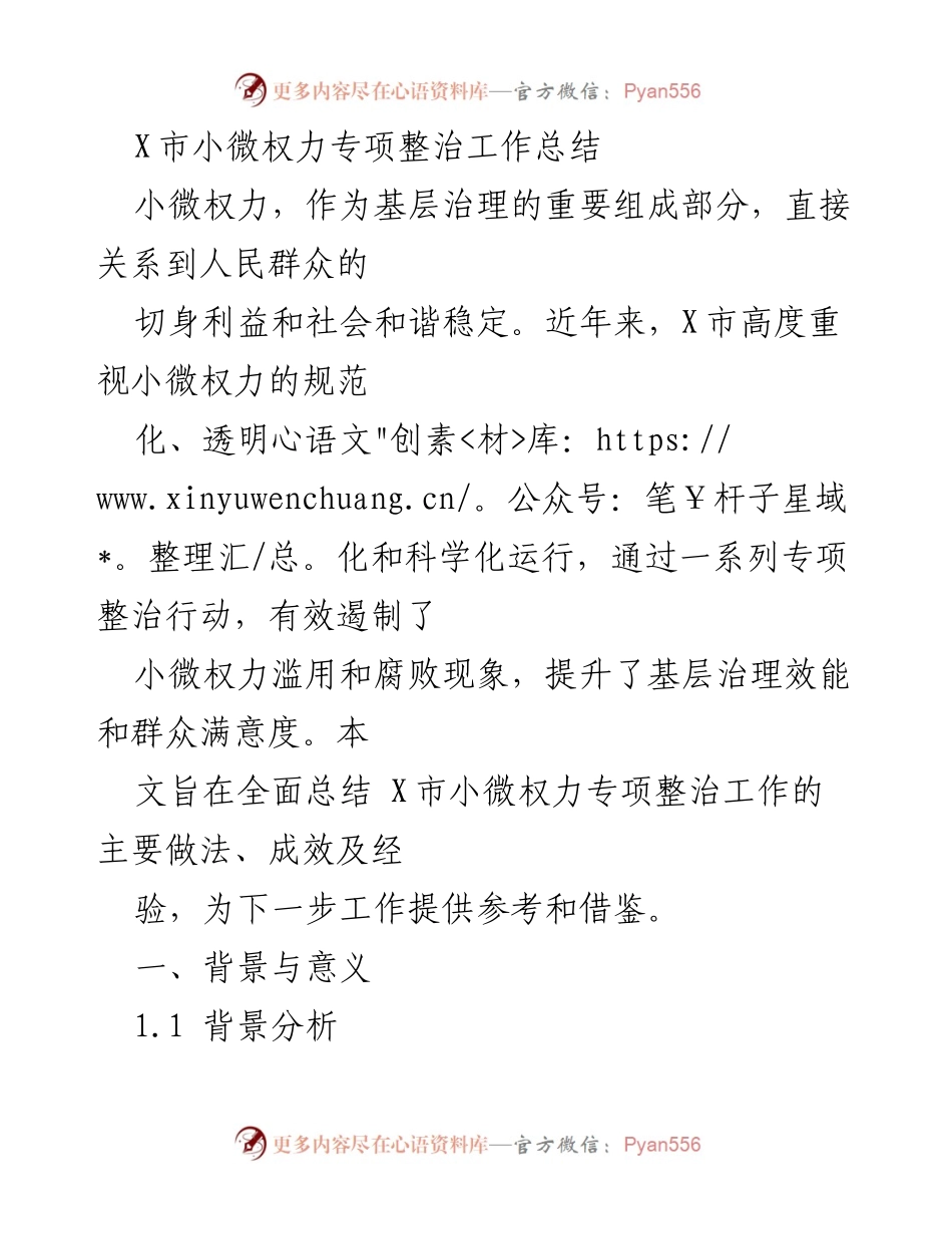 [工作总结] 小微权力专项整治 - X市小微权力专项整治工作总结与经验分析.docx_第1页