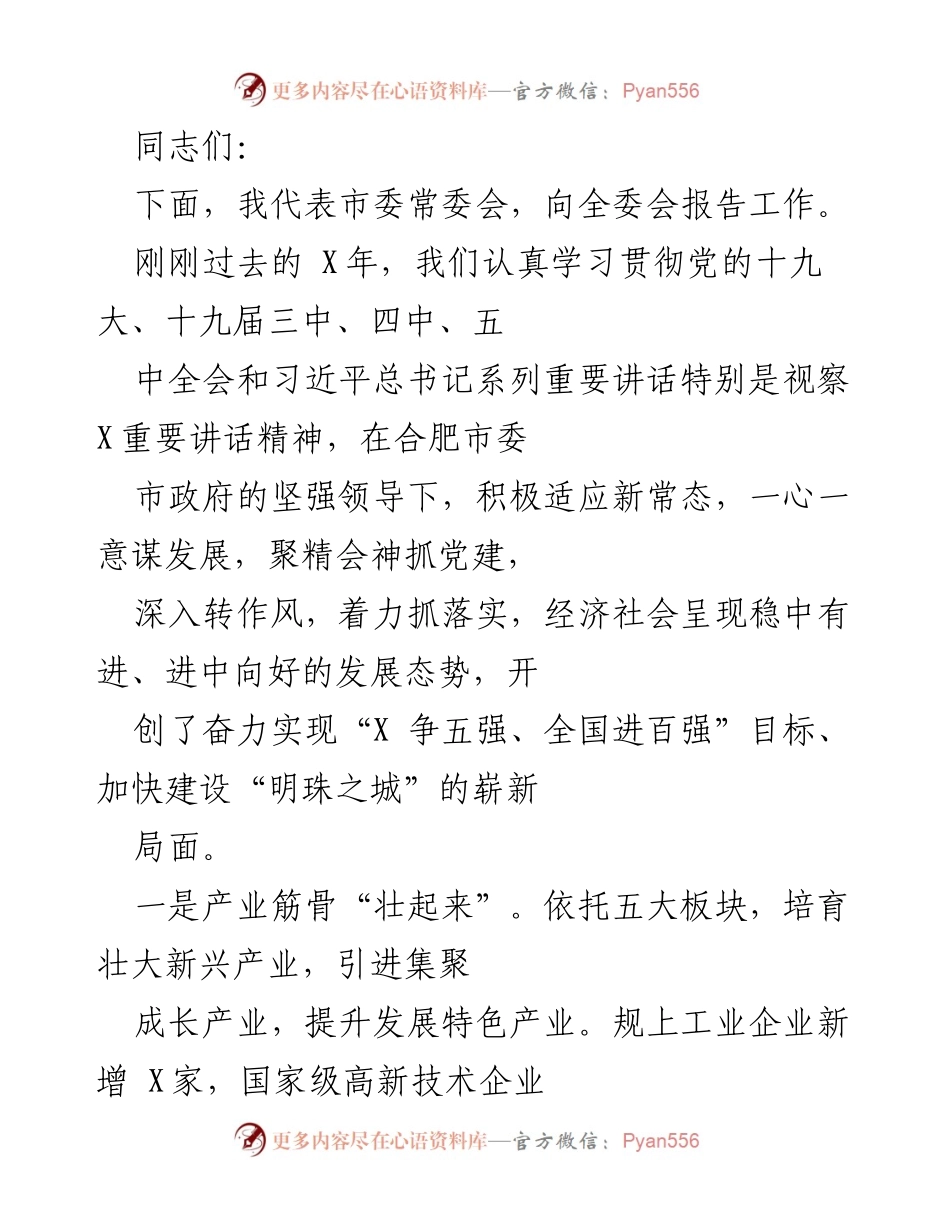 [工作总结] 市委常委会全委会 - 过去一年工作回顾与发展成就报告.docx_第1页
