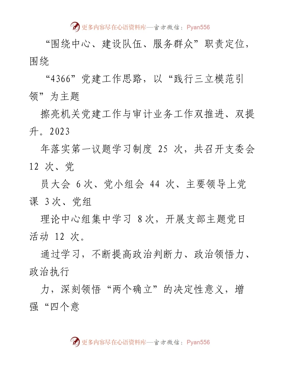 [工作总结] 审计局年度总结 - 2023年度审计局工作总结与主题教育推进报告.docx_第2页
