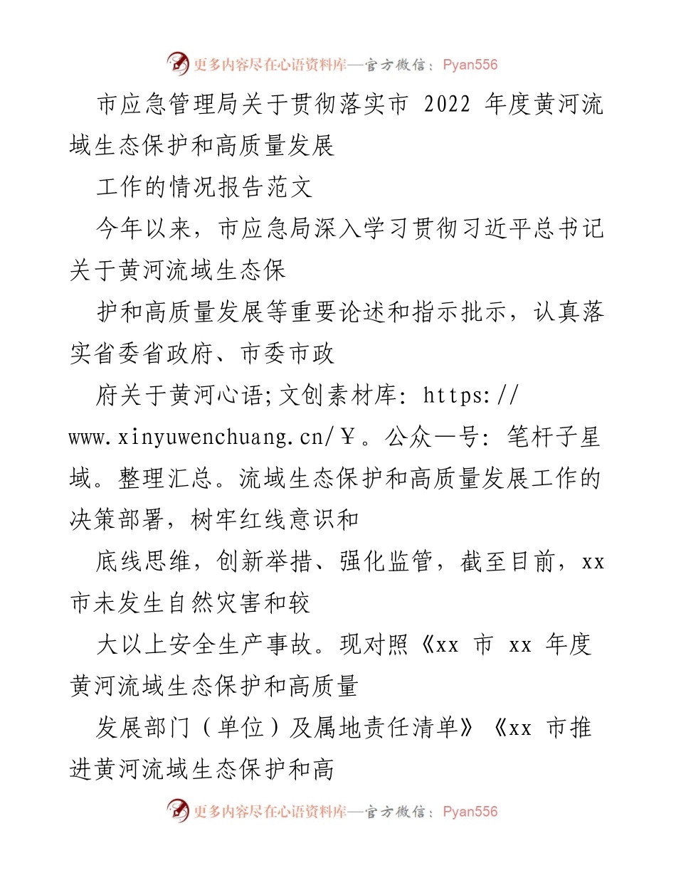 [工作总结] 市应急管理局 - 2022年度黄河流域生态保护与高质量发展工作情况报告.docx_第1页