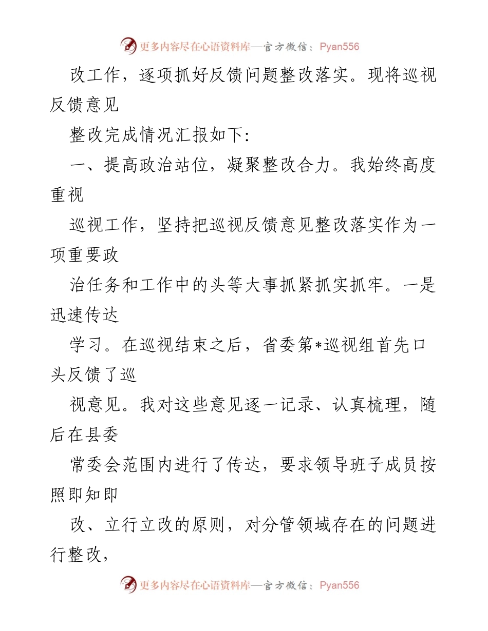 [工作总结] 巡视整改 - 县委书记巡视整改工作落实情况报告.docx_第2页