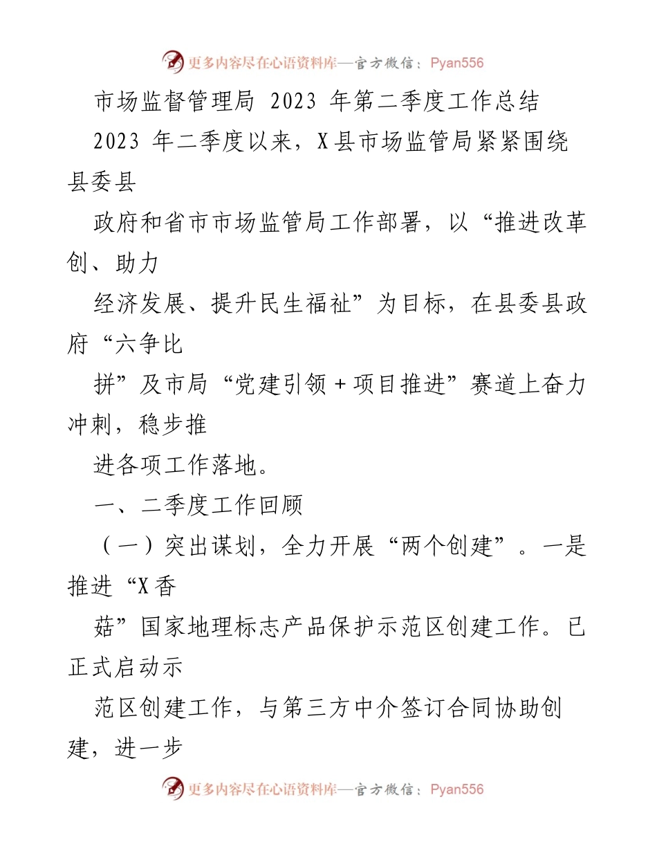 [工作总结] 市场监督管理局 - 2023年第二季度工作总结与营商环境优化报告.docx_第1页