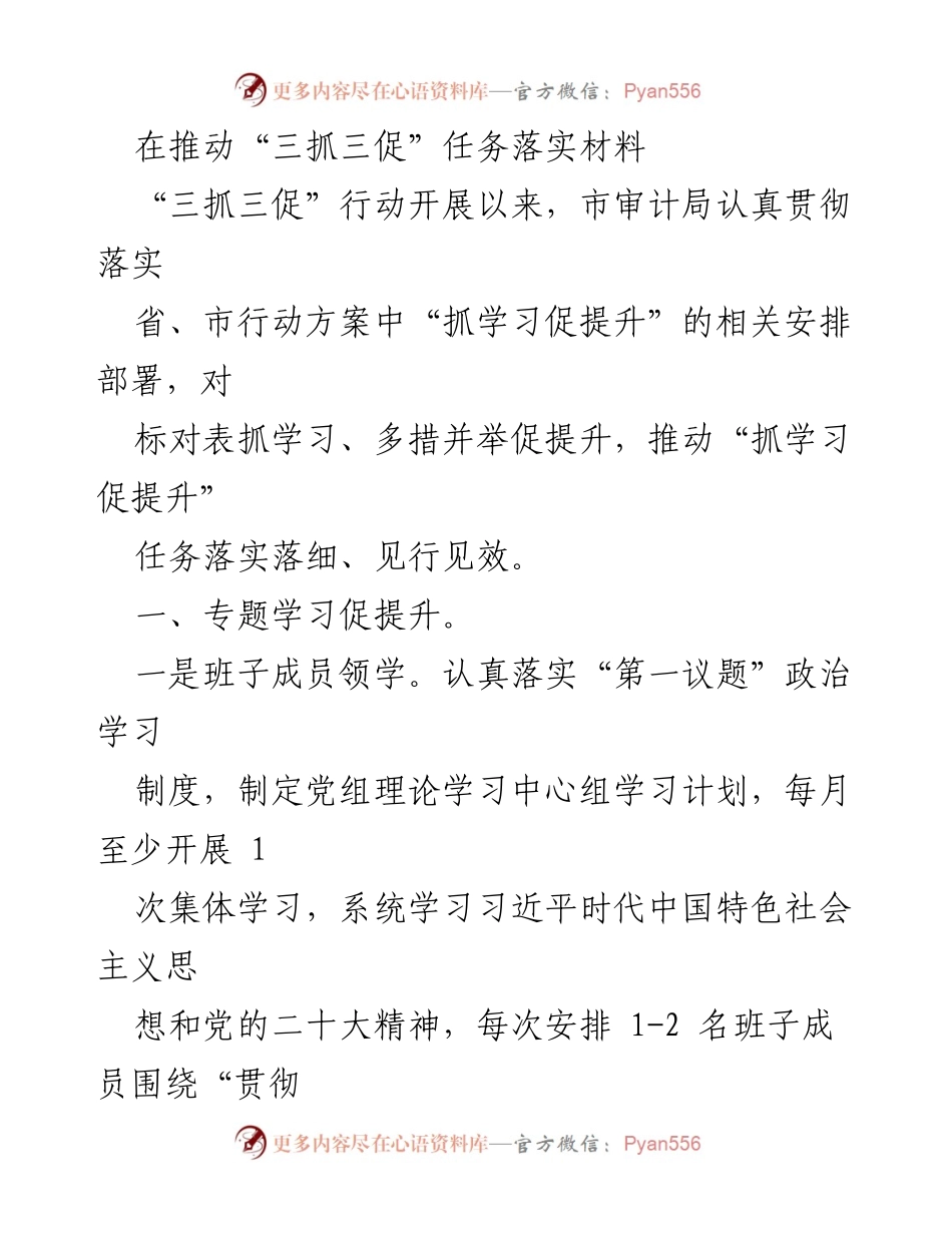 [工作总结] 市审计局 - 推动“三抓三促”任务落实的学习与交流实践.docx_第1页