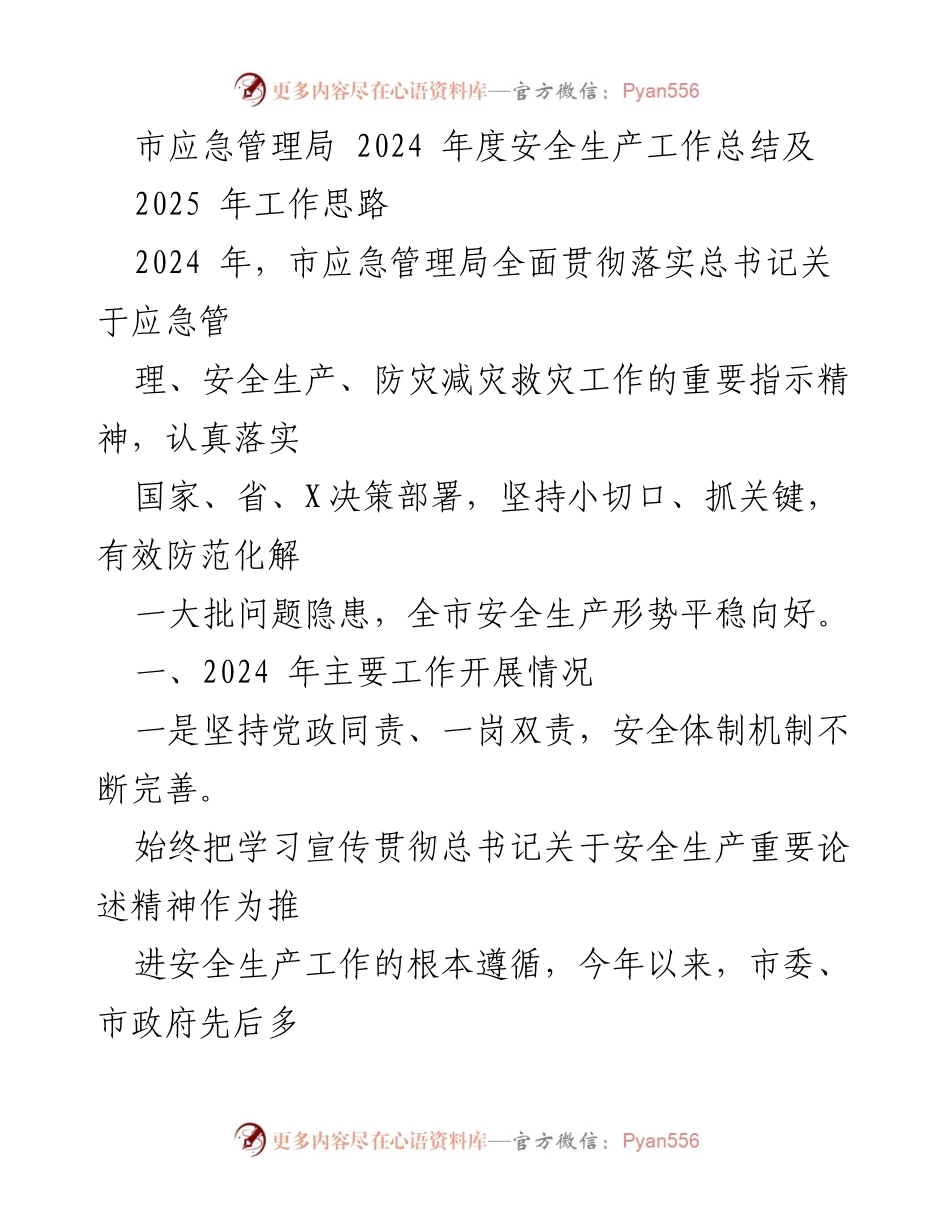 [工作总结] 市应急管理局 - 2024年度安全生产工作总结与2025年工作思路.docx_第1页