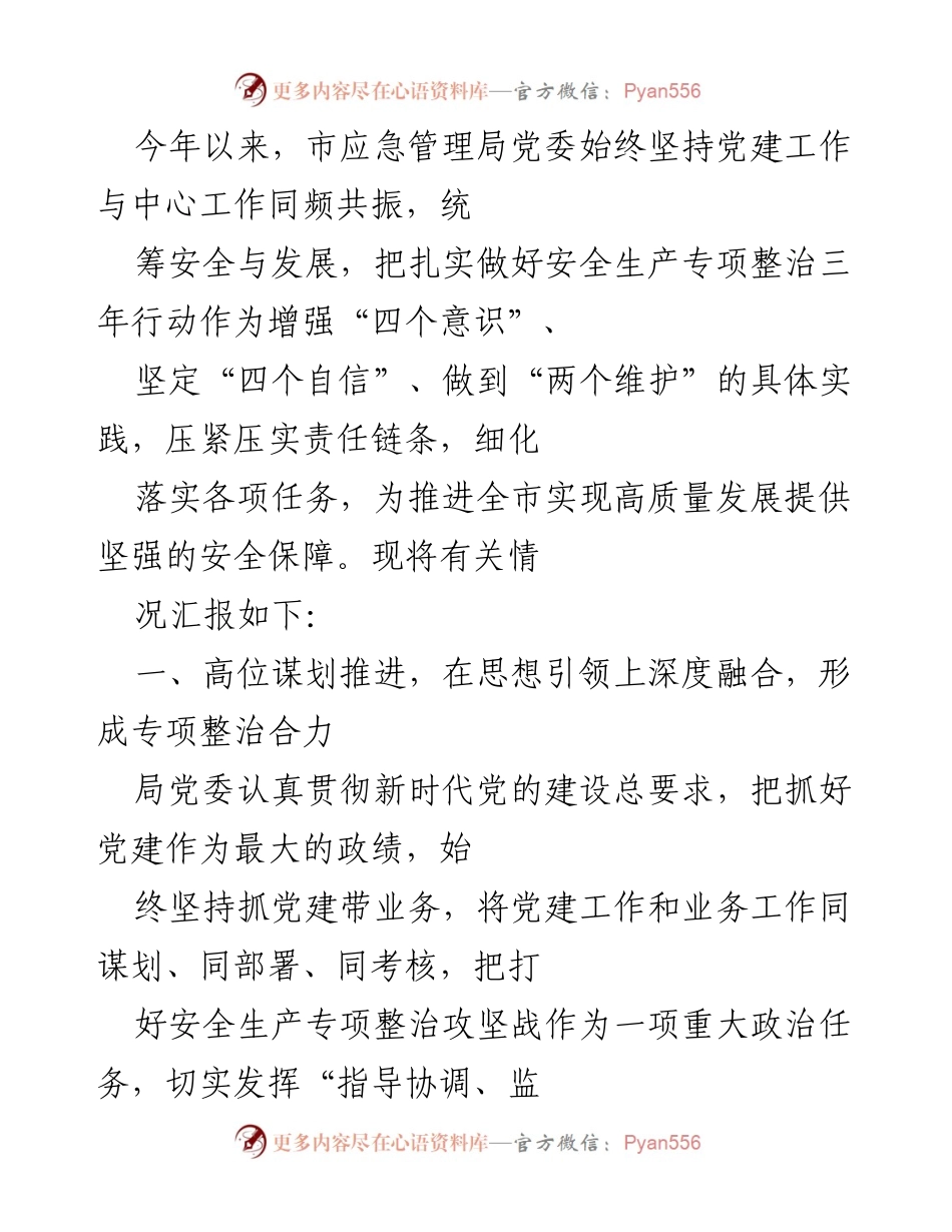 [工作总结] 市应急管理局 - 加强安全生产专项整治，推动高质量发展.docx_第1页