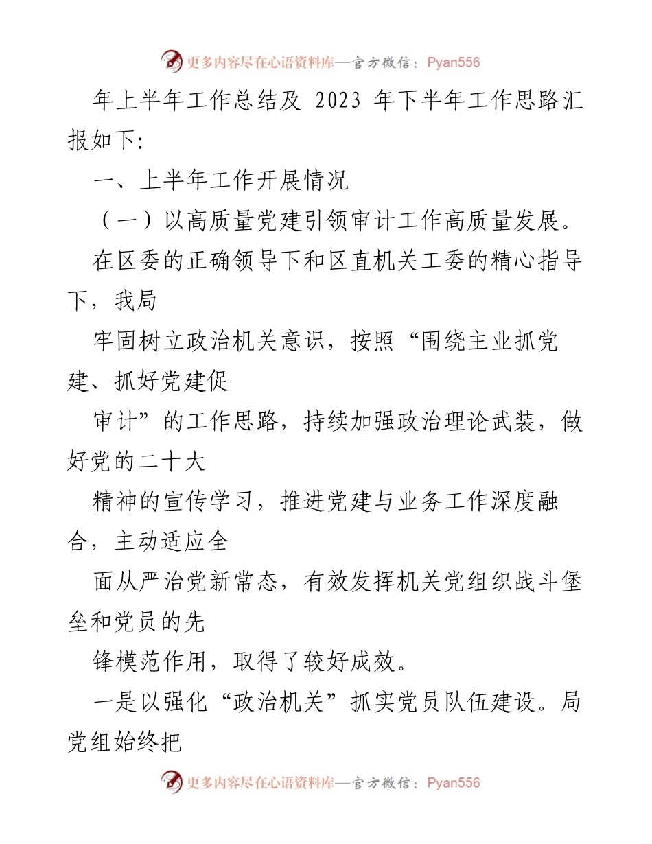 [工作总结] 审计局 - 2023年上半年工作总结及下半年工作计划_5.docx_第2页