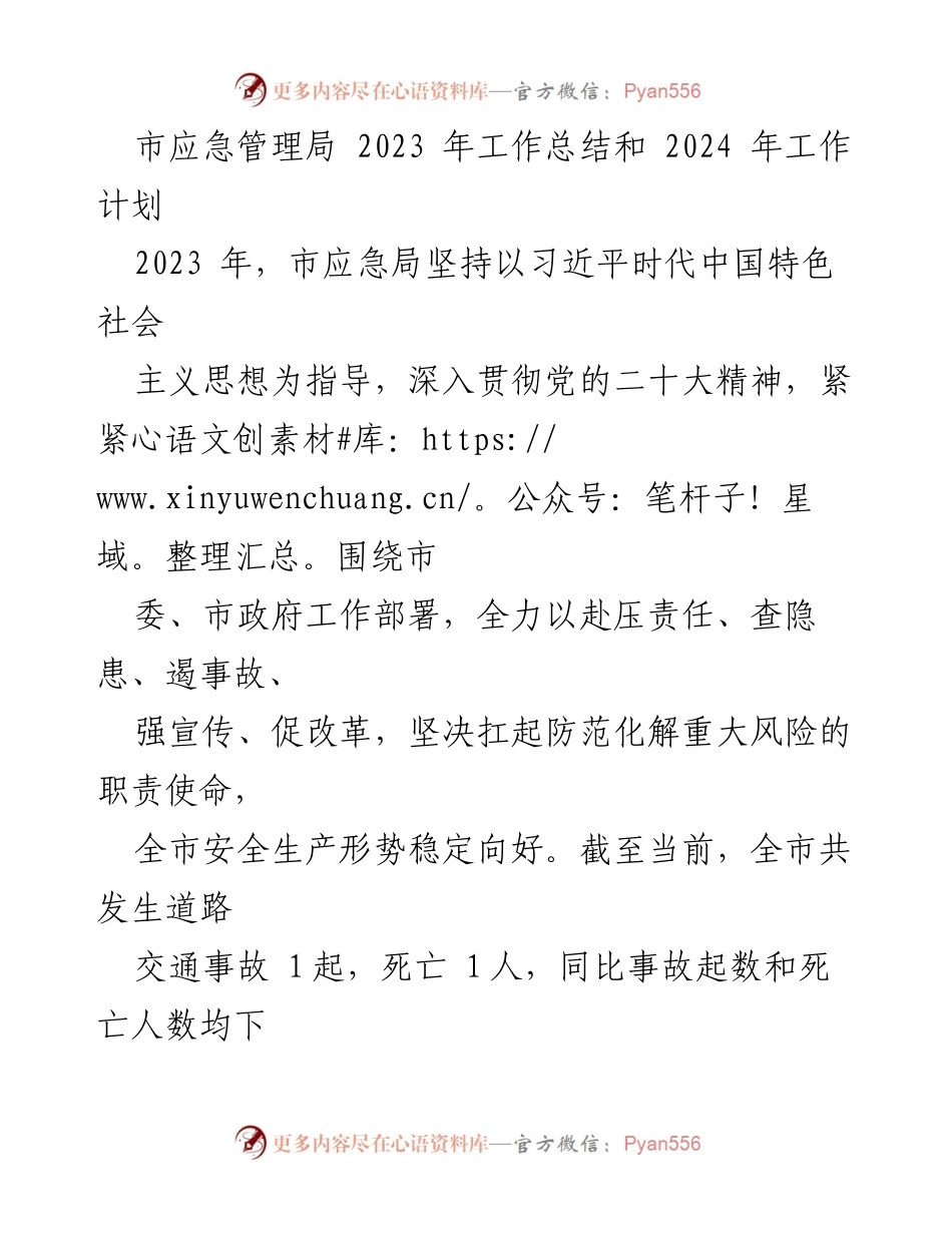 [工作总结] 市应急管理局 - 2023年工作总结与2024年工作计划概述.docx_第1页