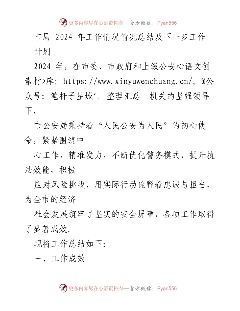 [工作总结] 市公安局 - 2024年市公安局工作总结及未来计划.docx_第1页