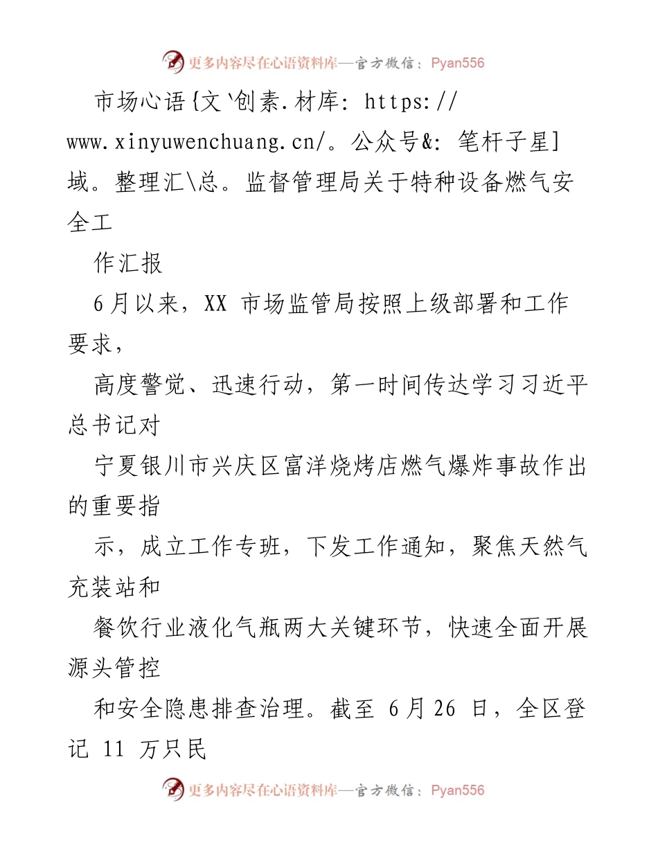 [工作总结] 市场监督管理局 - 特种设备燃气安全工作汇报与整改措施.docx_第1页