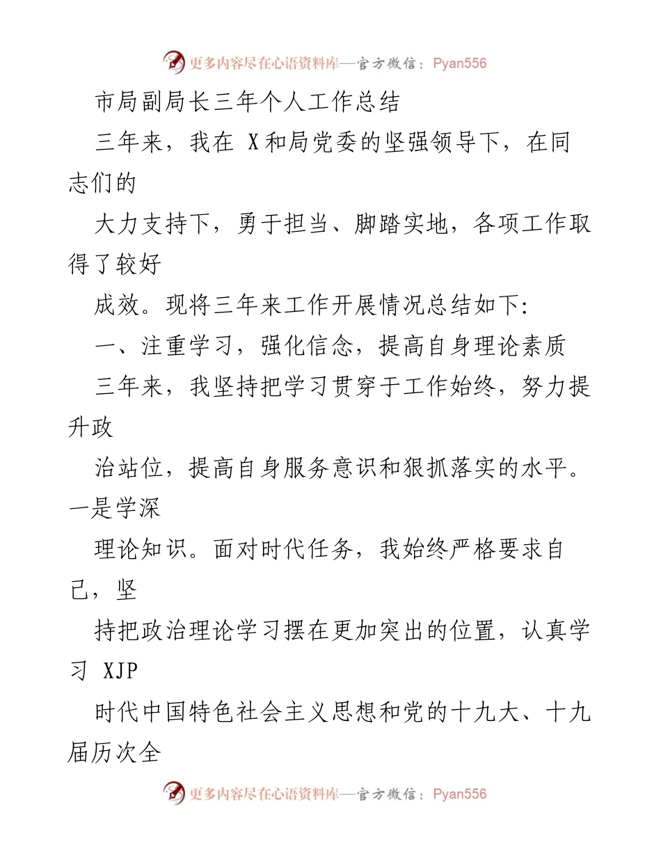 [工作总结] 市局副局长 - 三年工作成效与提升总结.docx_第1页