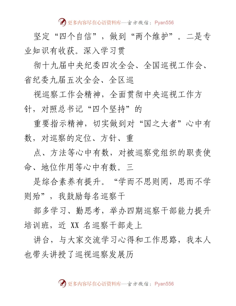 [工作总结] 巡察工作 - 一年来巡察工作高质量发展的总结与反思.docx_第2页