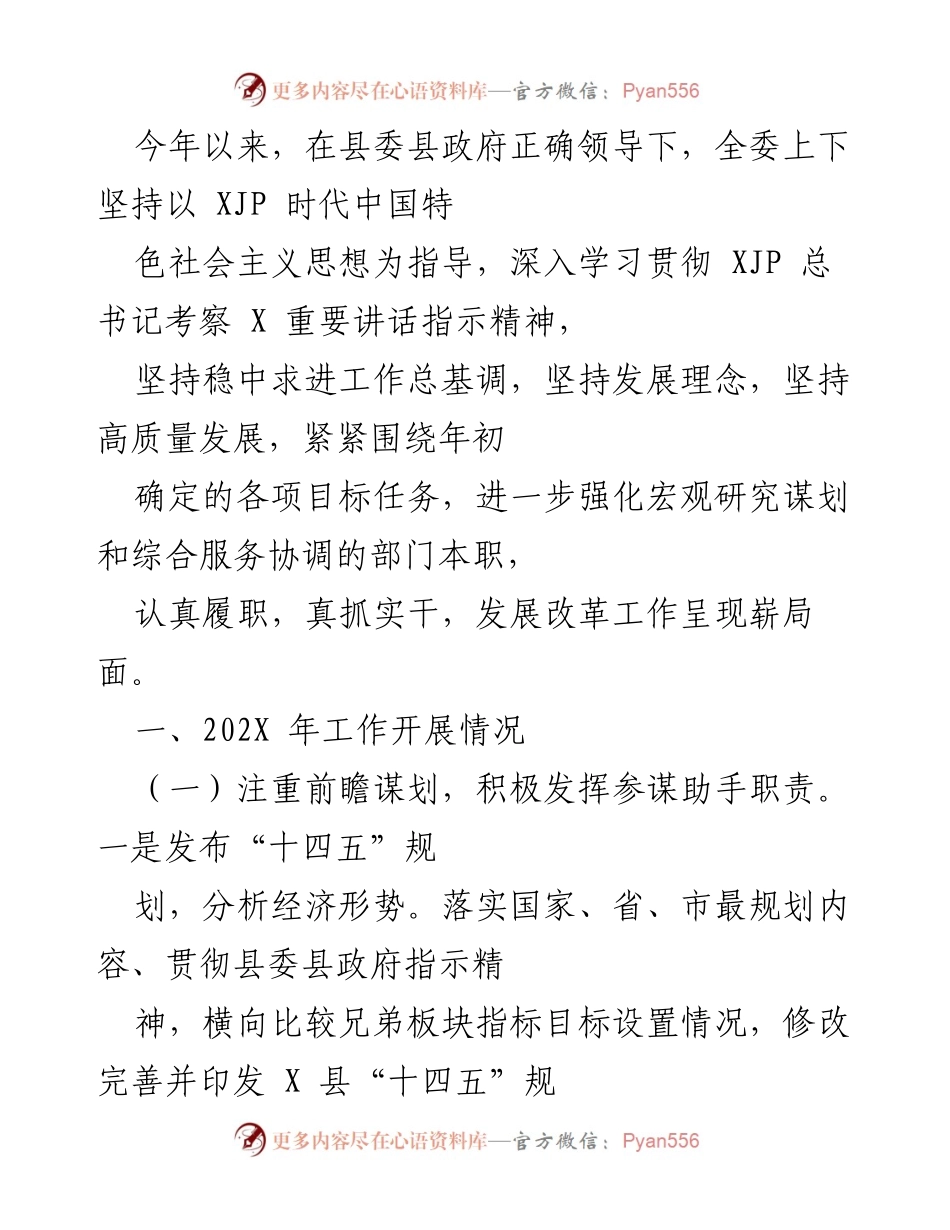 [工作总结] 年度工作会议 - 202X年发展改革工作总结与展望.docx_第1页