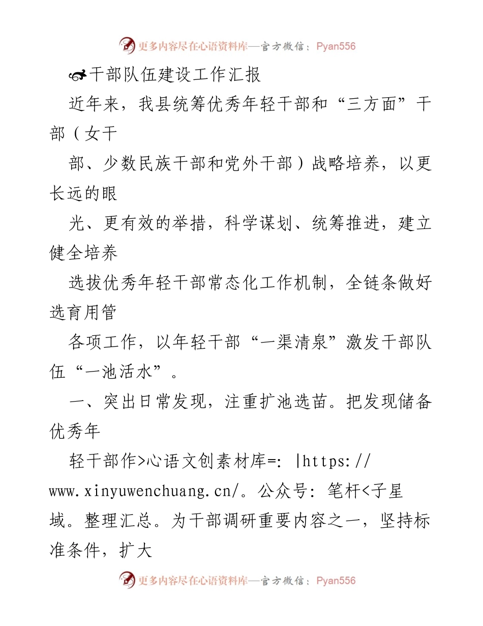 [工作总结] 干部队伍建设 - 年轻干部培养与选拔工作总结.docx_第1页