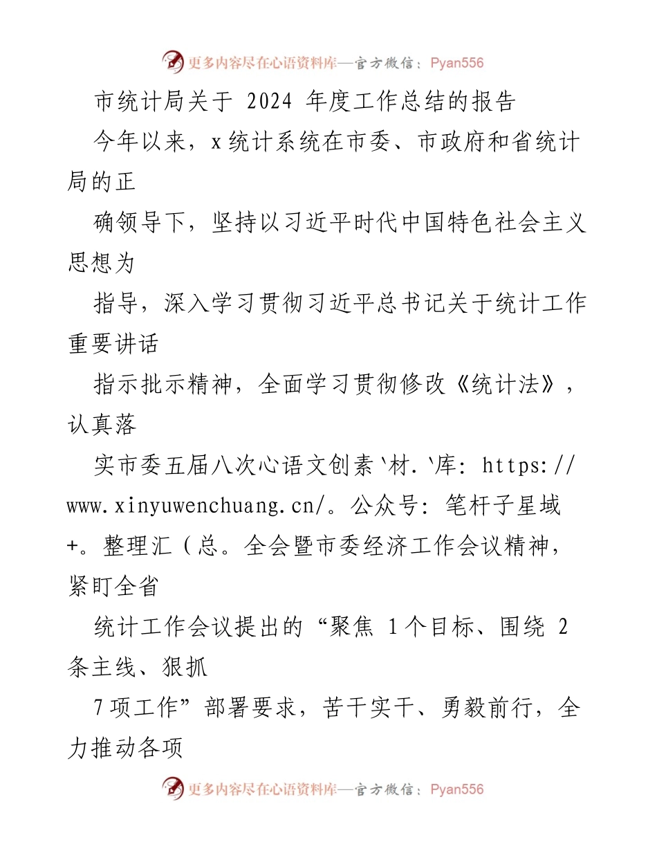 [工作总结] 市统计局 - 2024年度统计工作总结报告.docx_第1页