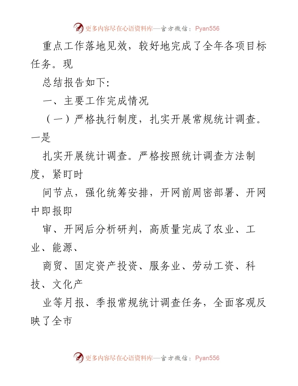 [工作总结] 市统计局 - 2024年度统计工作总结报告.docx_第2页