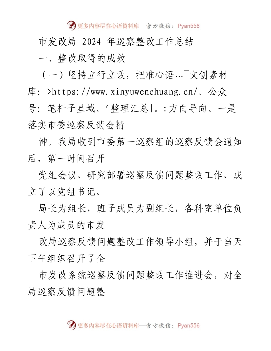 [工作总结] 巡察整改 - 市发改局2024年巡察整改工作成效总结.docx_第1页