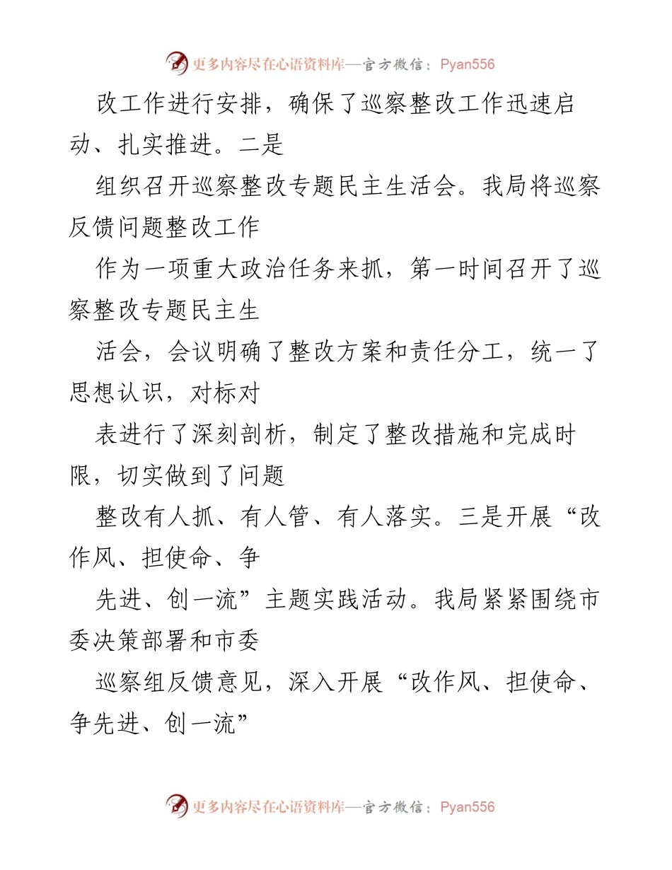 [工作总结] 巡察整改 - 市发改局2024年巡察整改工作成效总结.docx_第2页