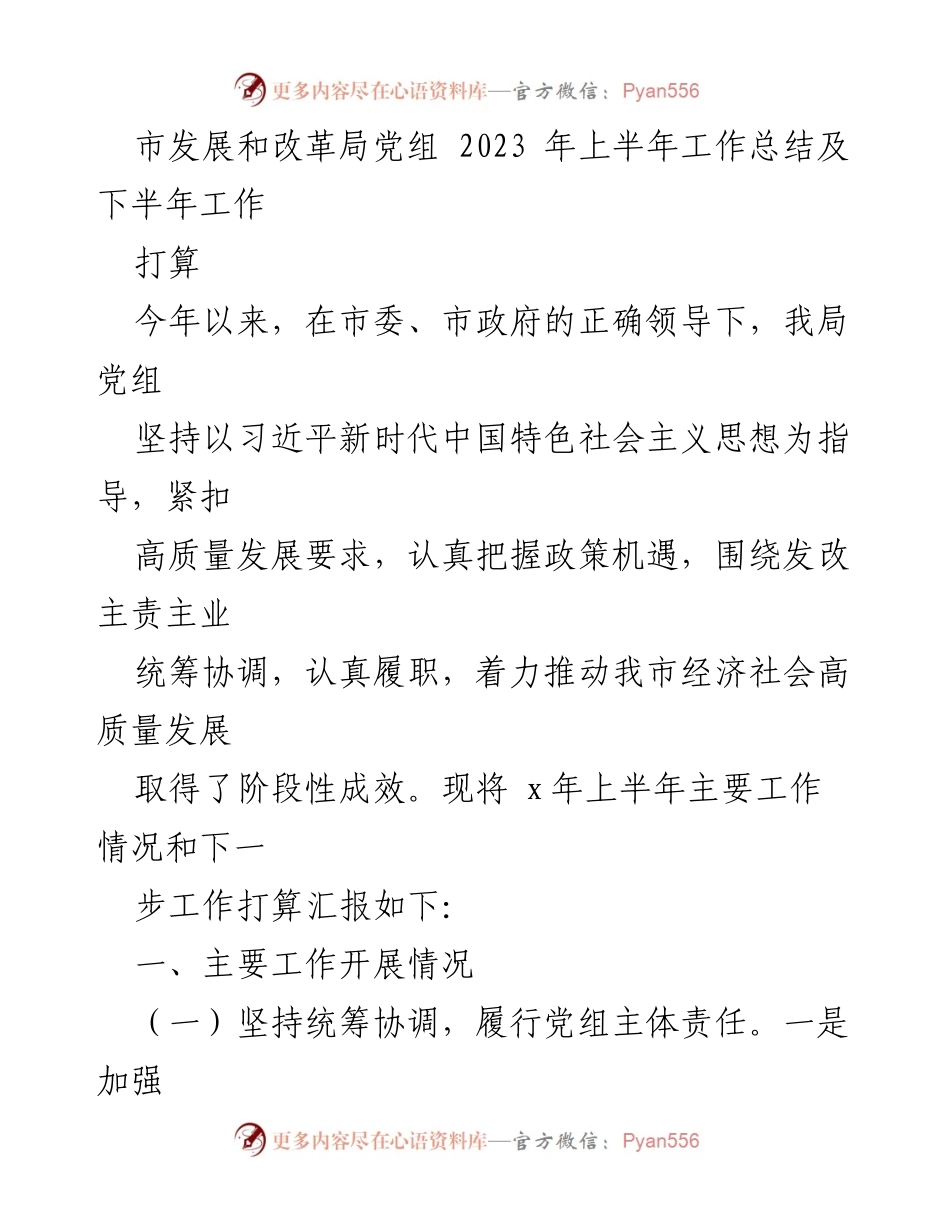 [工作总结] 市发展和改革局 - 2023年上半年工作总结及下半年工作打算.docx_第1页
