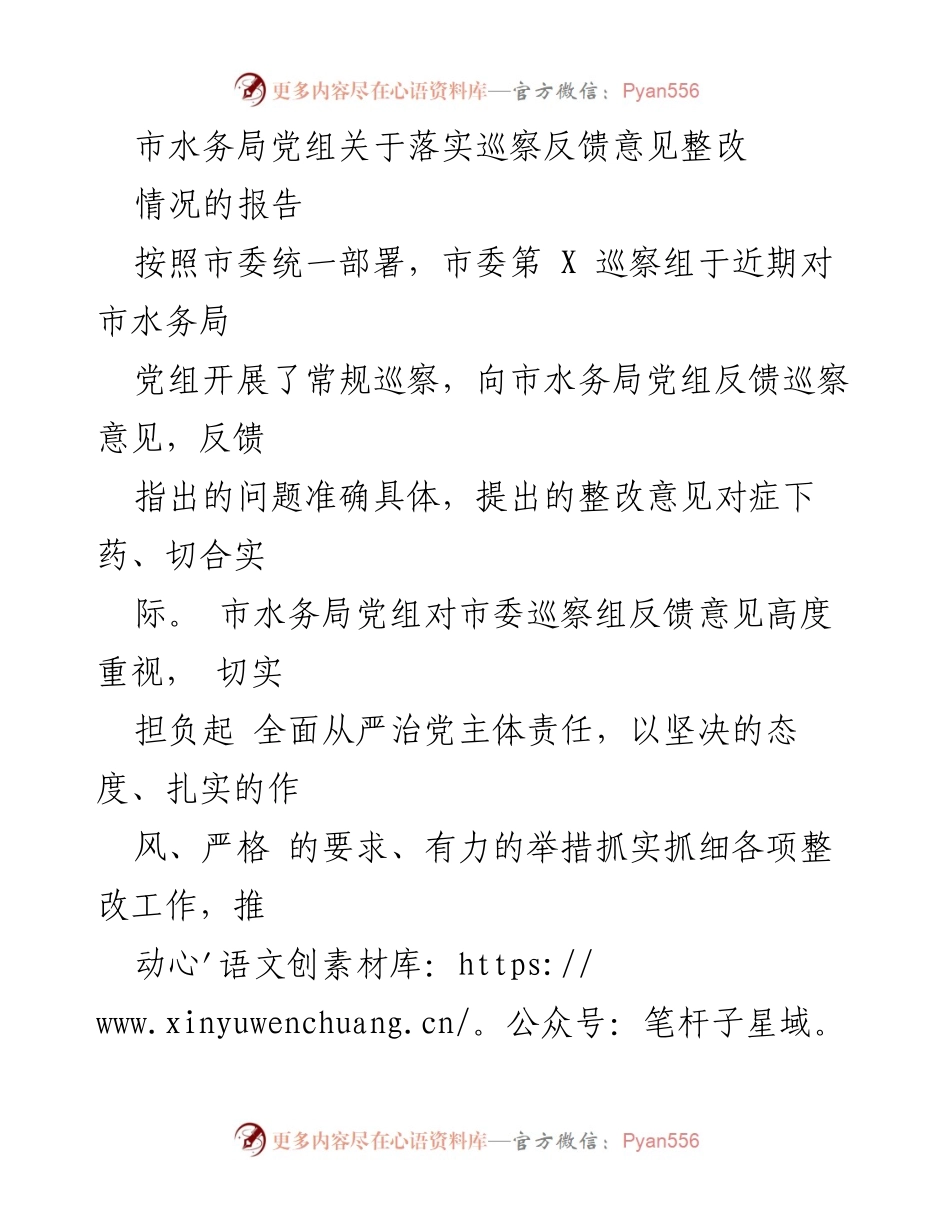 [工作总结] 巡察整改 - 市水务局党组关于落实巡察反馈意见整改情况的报告.docx_第1页
