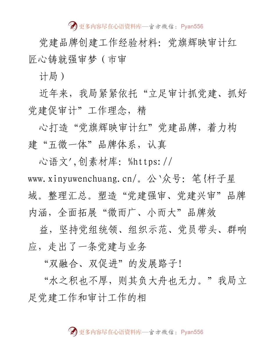 [工作总结] 市审计局 - 党建品牌创建工作经验分享：党旗辉映审计红.docx_第1页