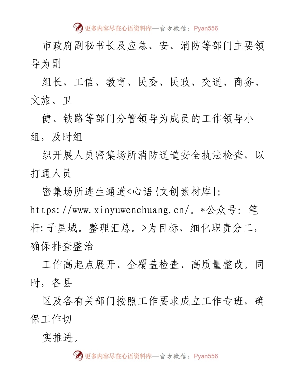 [工作总结] 安全生产 - X市人员密集场所逃生通道专项排查整治行动总结.docx_第2页