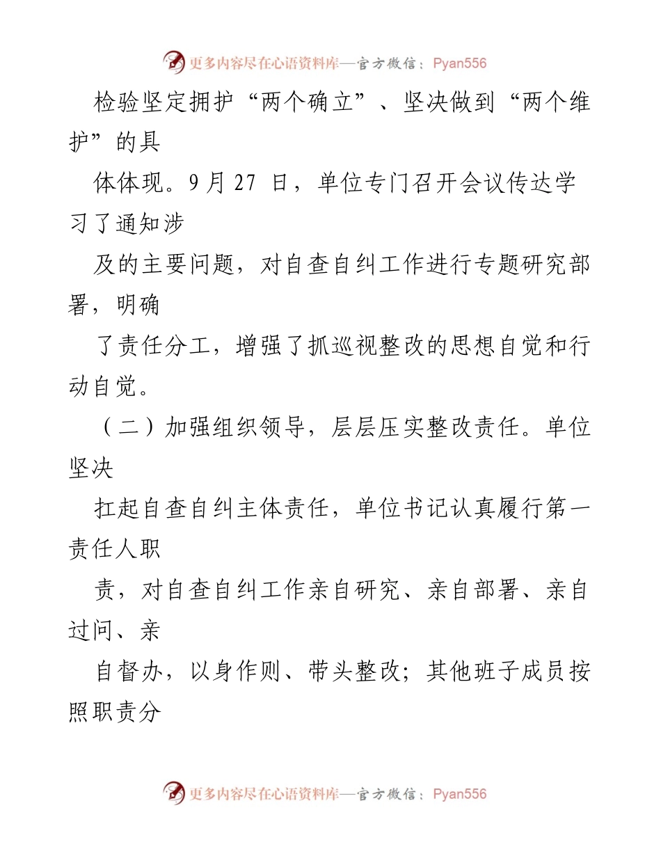 [工作总结] 巡察整改 - 巡察成果运用自查自纠情况总结报告.docx_第2页