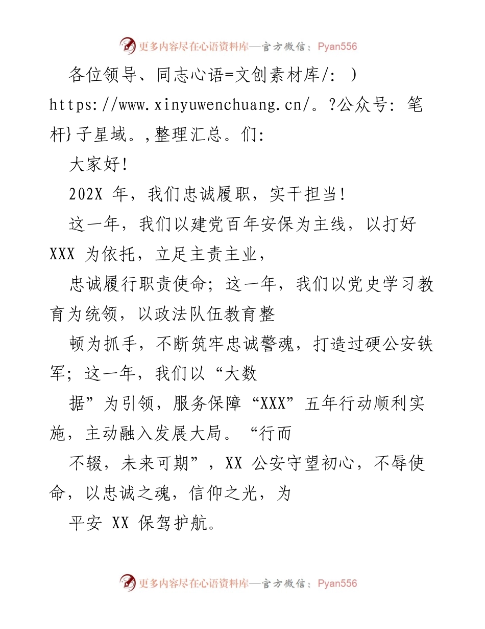 [工作总结] 年度工作总结 - 202X年公安工作总结与展望.docx_第1页