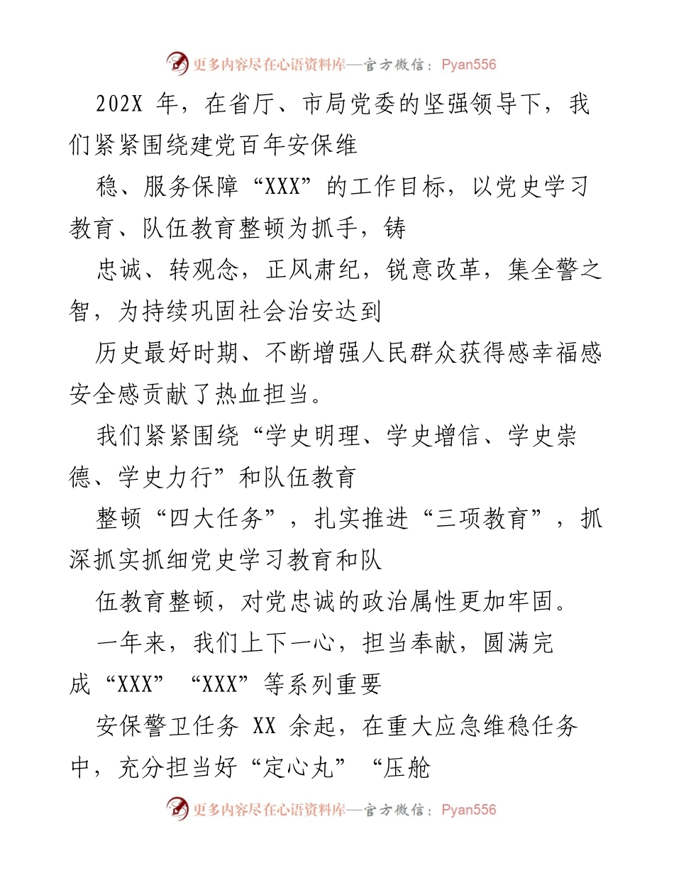 [工作总结] 年度工作总结 - 202X年公安工作总结与展望.docx_第2页