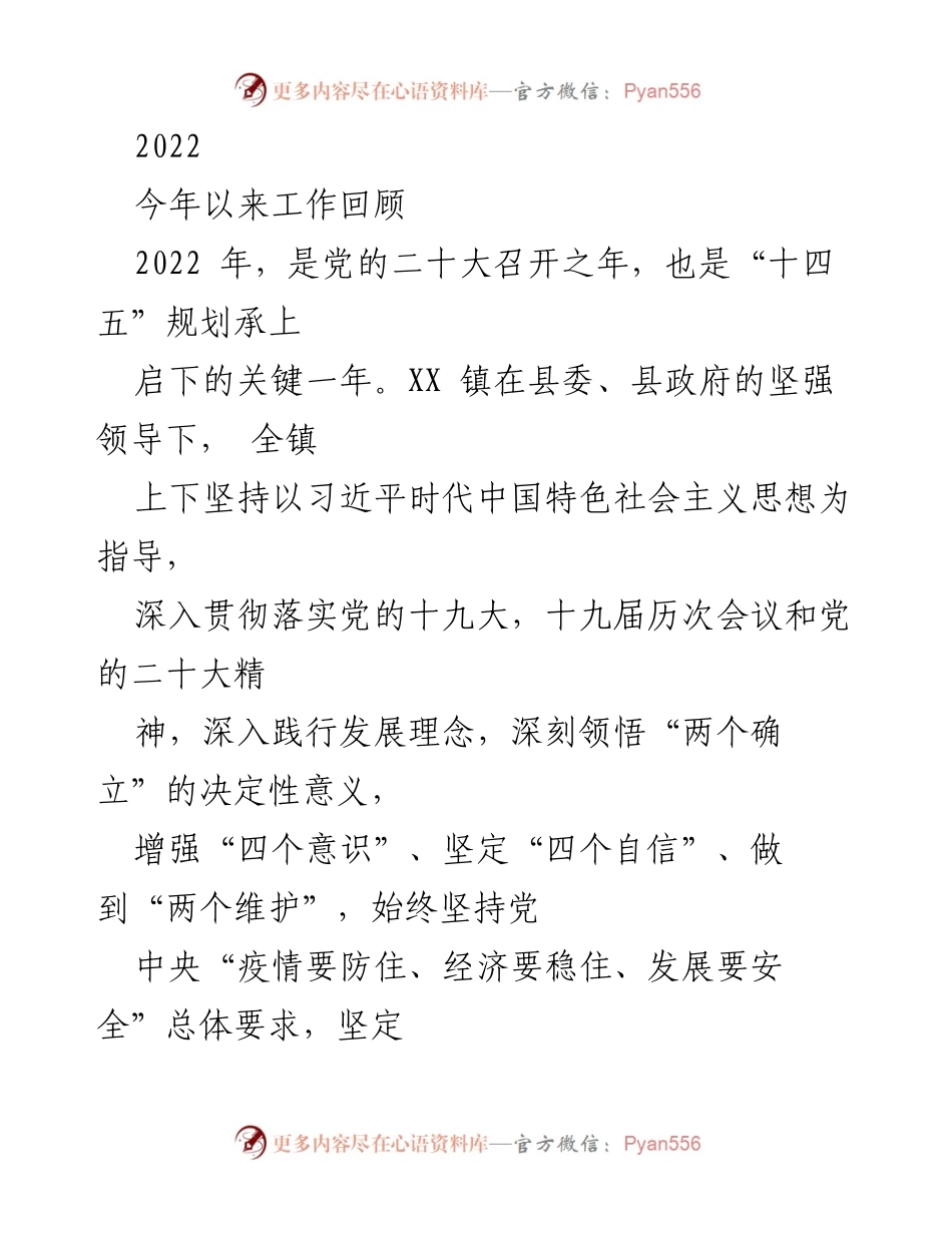[工作总结] 年度工作回顾 - 2022年XX镇工作总结与发展回顾.docx_第1页