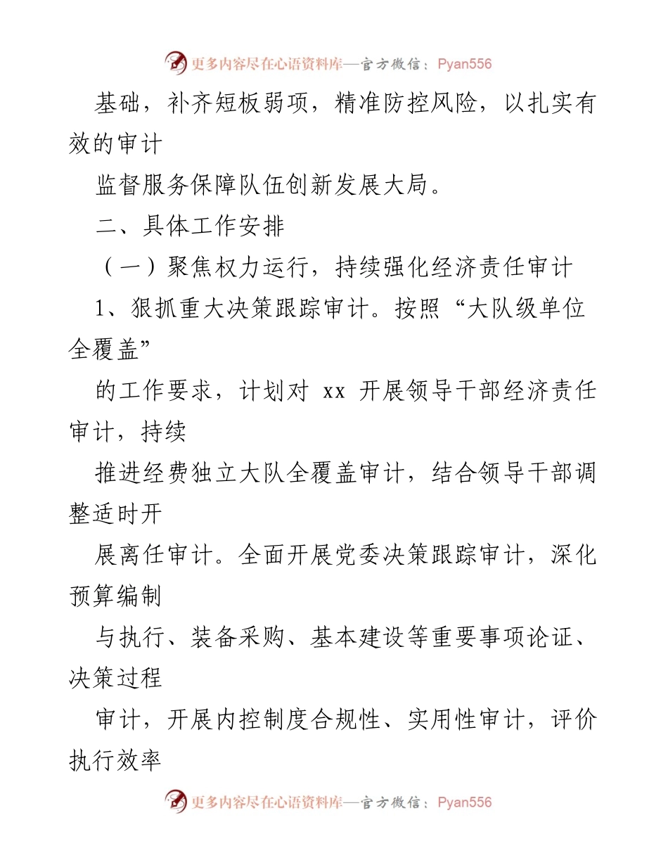 [工作总结] 年度审计工作会议 - 2024年度审计工作实施方案.docx_第2页