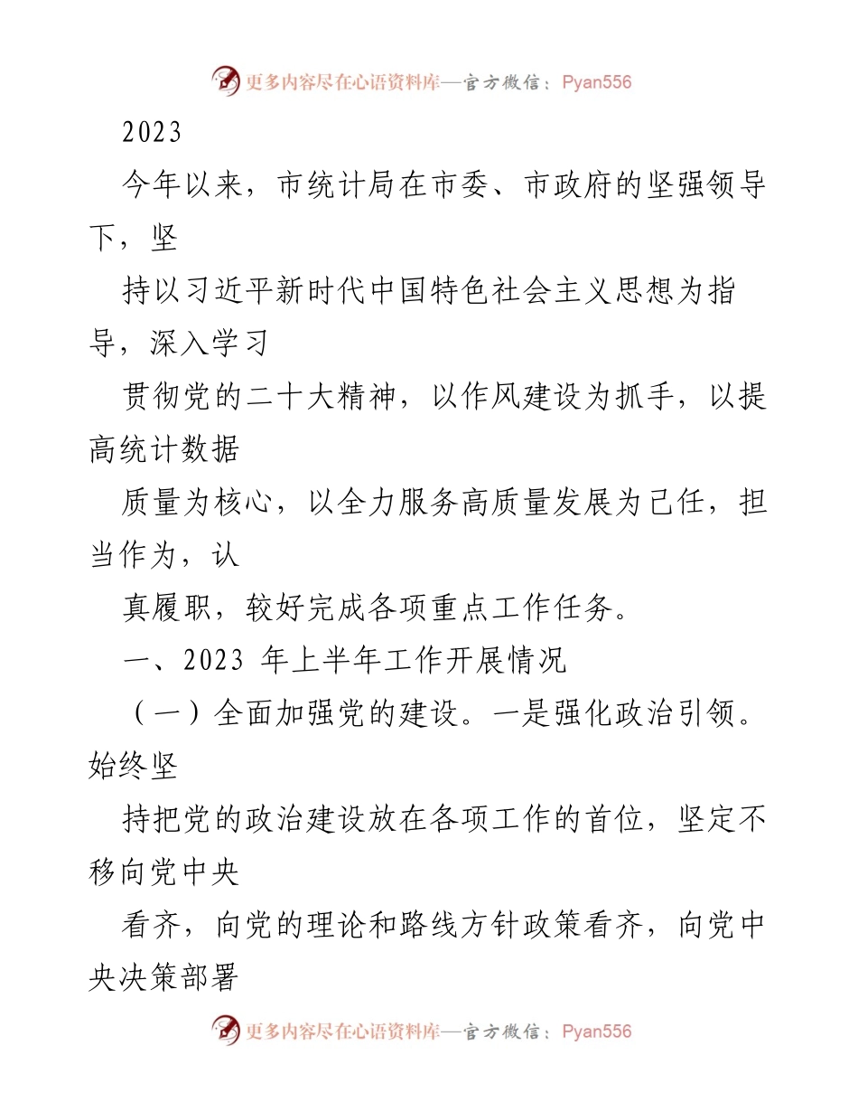 [工作总结] 市统计局 - 2023年上半年工作开展情况及党的建设成效.docx_第1页