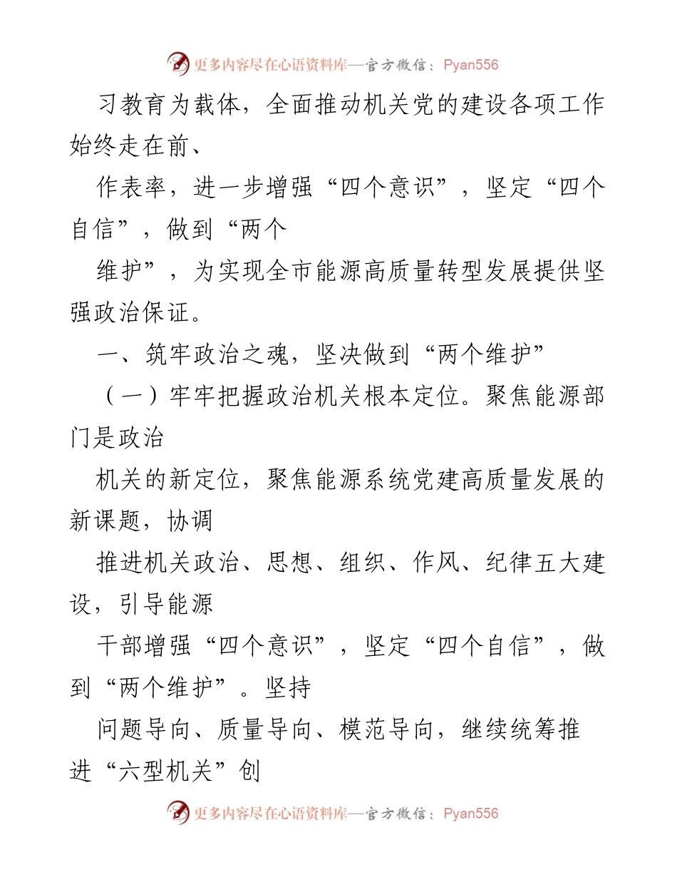 [工作总结] 市能源局党建工作 - 2021年市能源局党建工作要点.docx_第2页