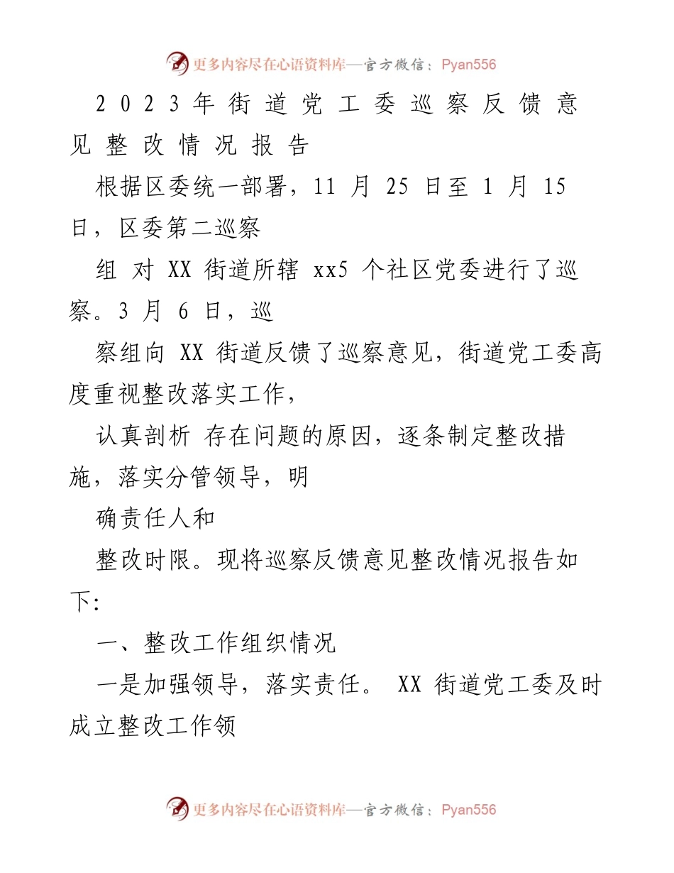[工作总结] 巡察整改 - 2023年街道党工委巡察反馈意见整改工作总结报告.docx_第1页