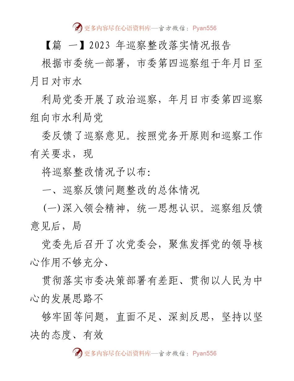 [工作总结] 巡察整改 - 2023年市水利局巡察整改落实情况报告_1.docx_第1页