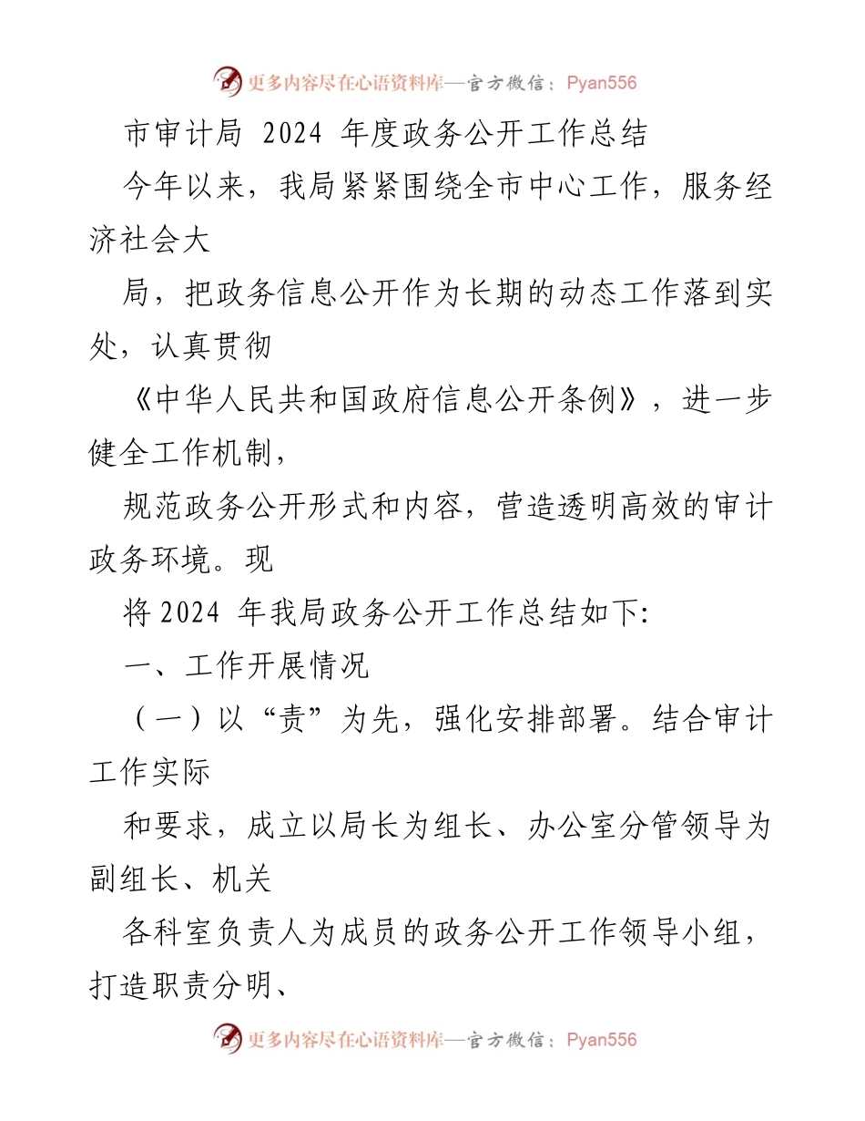 [工作总结] 市审计局 - 2024年度政务公开工作总结与反思.docx_第1页
