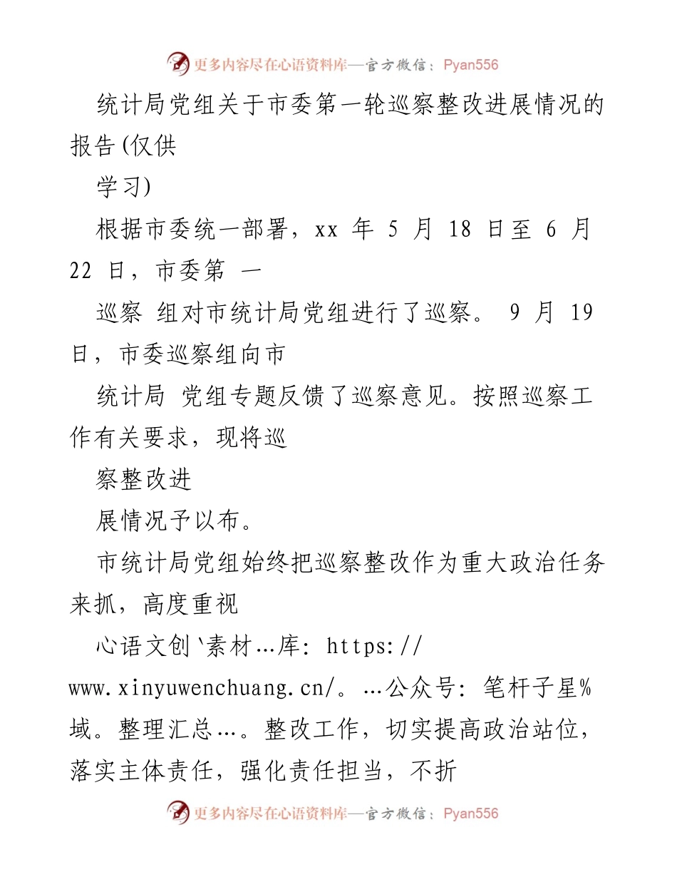 [工作总结] 市统计局 - 巡察整改进展情况报告.docx_第1页