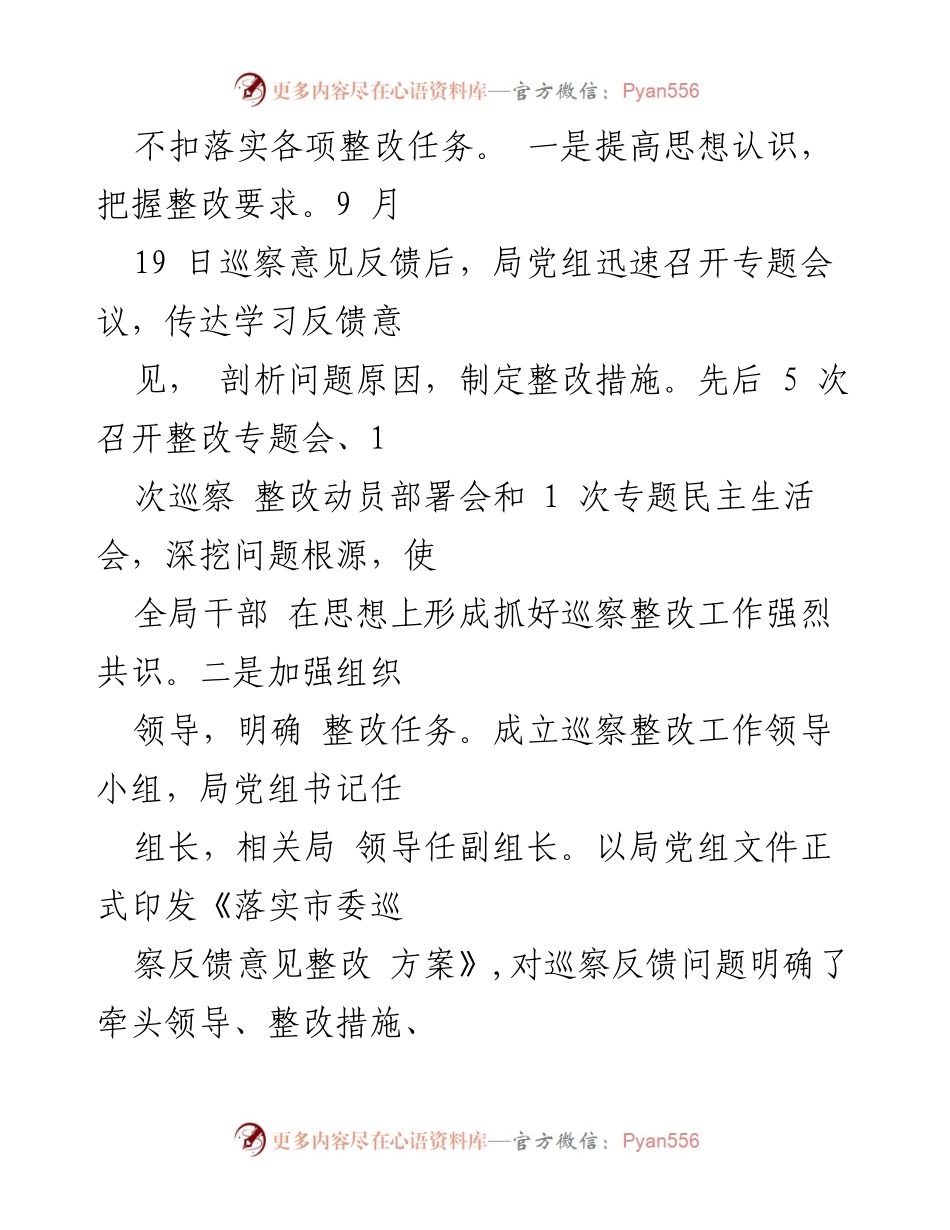 [工作总结] 市统计局 - 巡察整改进展情况报告.docx_第2页